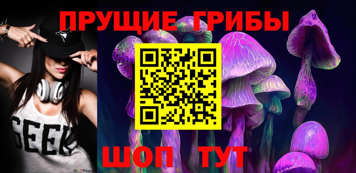 Псилоцибиновые грибы прущие грибы  дарнет шоп  Избербаш  Вход с VPN  Галлюциногенные грибы Psilocybe 